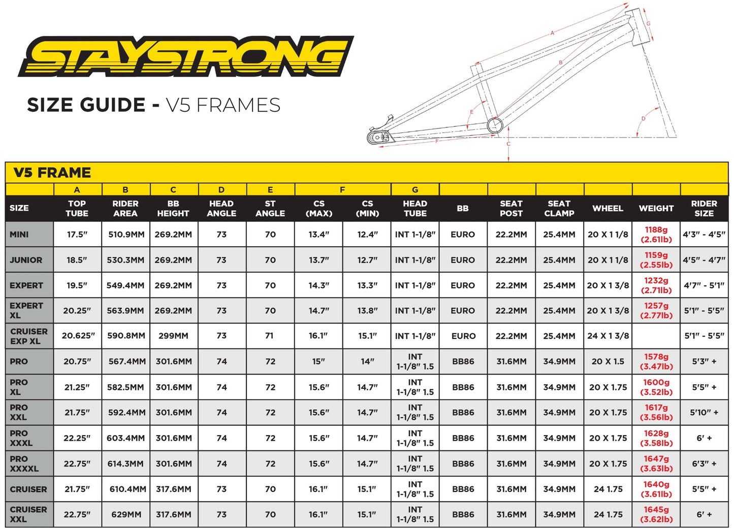 Stay Strong For Life V5.1 BMX Race Frame