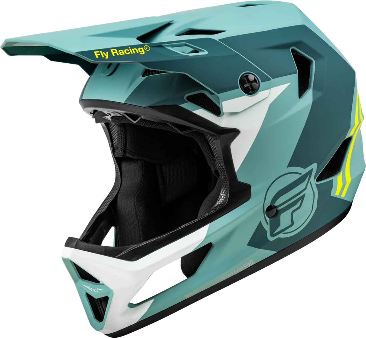 Fly Racing Rayce Helmet