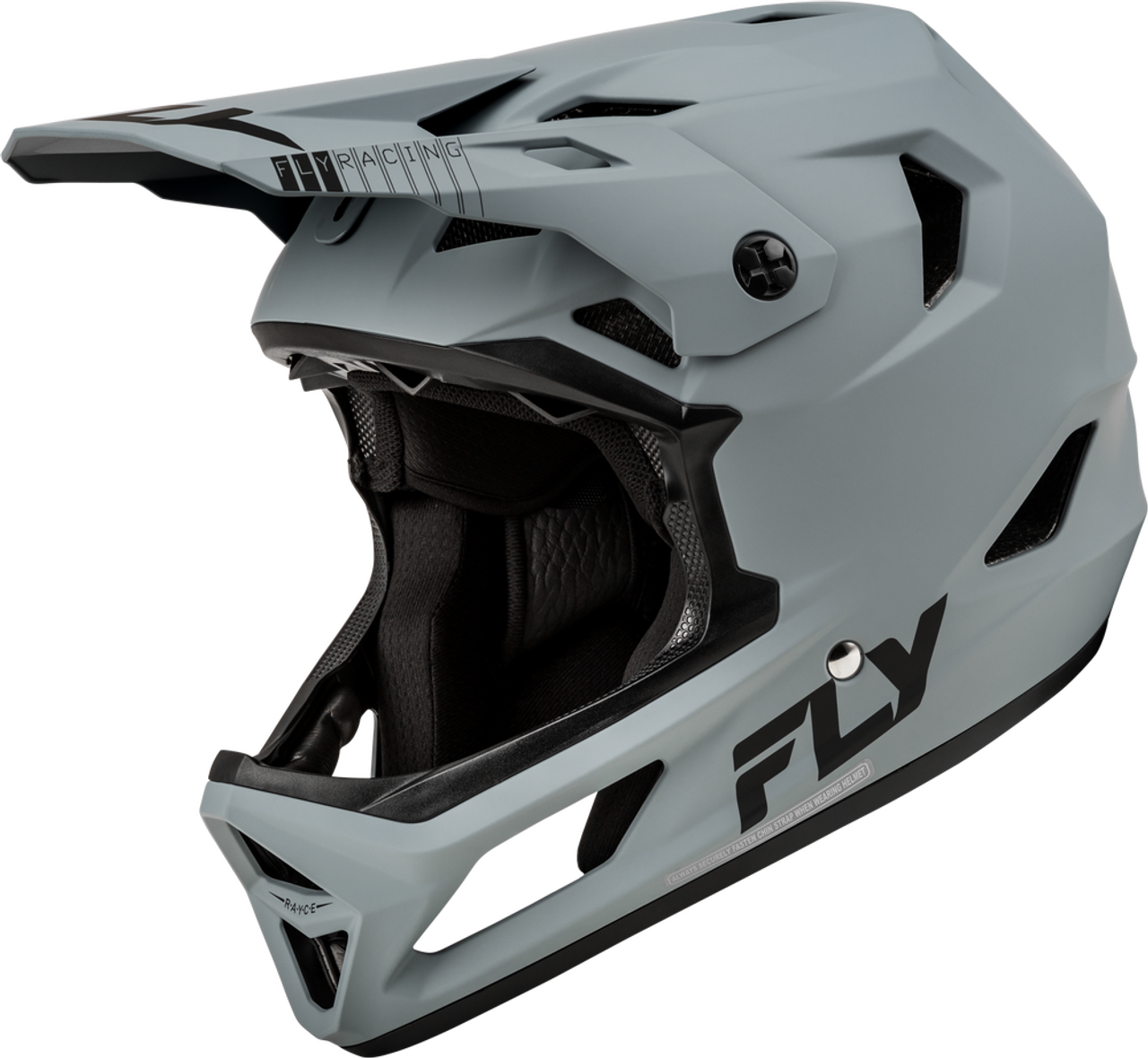 Fly Racing Rayce Helmet