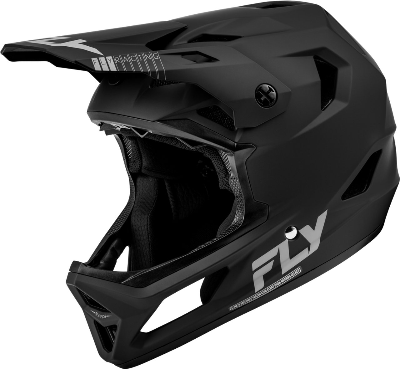 Fly Racing Rayce Helmet