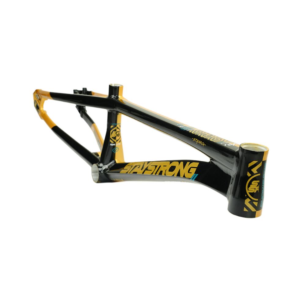 Stay Strong For Life V5.1 BMX Race Frame