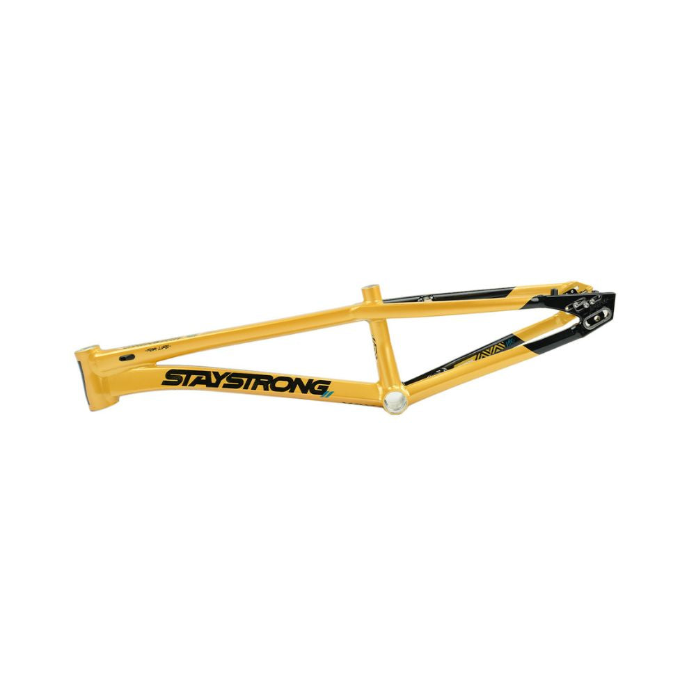 Stay Strong For Life V5.1 BMX Race Frame