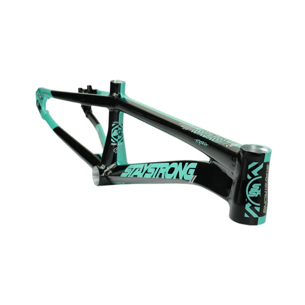 Stay Strong For Life V5.1 BMX Race Frame