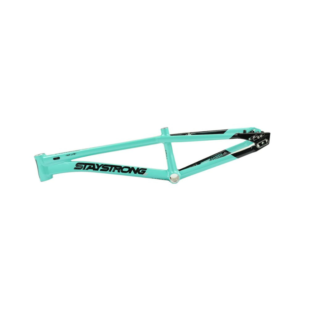 Stay Strong For Life V5.1 BMX Race Frame