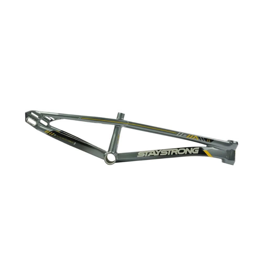 Stay Strong For Life V6 BMX Race Frame