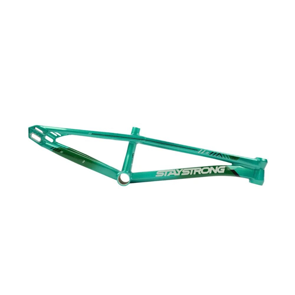 Stay Strong For Life V6 BMX Race Frame